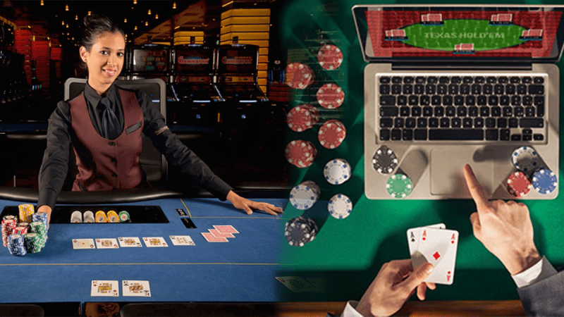 Unveiling Fortunes: Live Casino and Lottery Explorations
