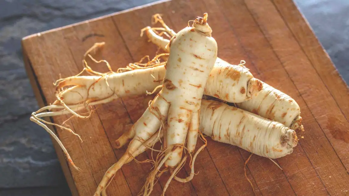 Discovering the Fountain of Youth: Korean Ginseng’s Anti-aging Secrets