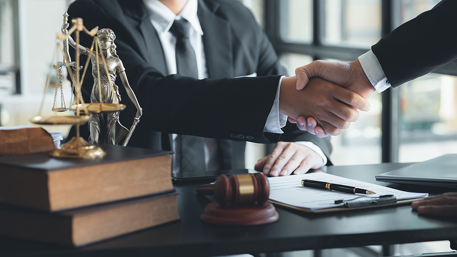 Understanding the Role of a Criminal Lawyer